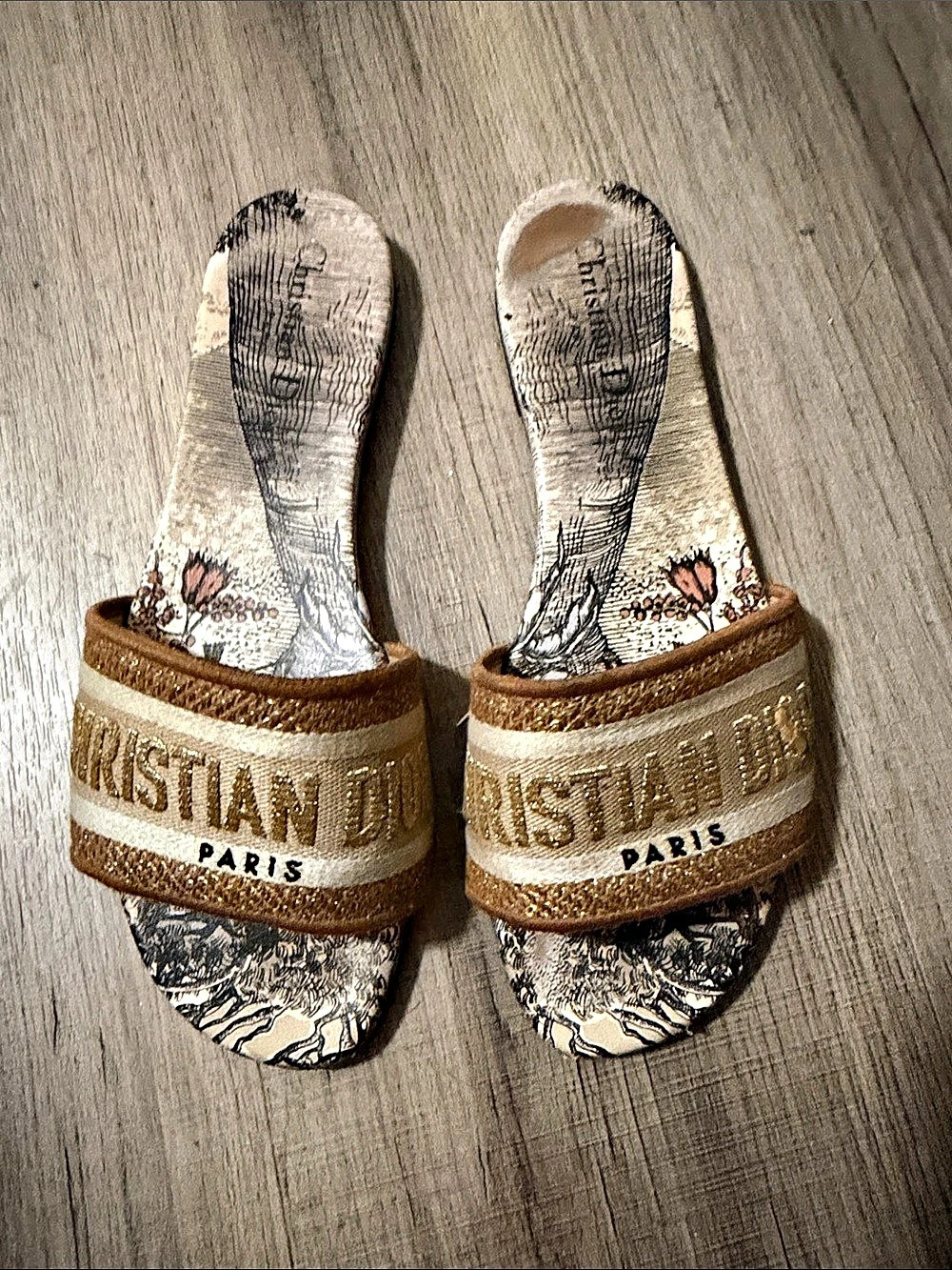 Christian Dior Dway Slide Toile de Jouy Sandals Brown & Cream